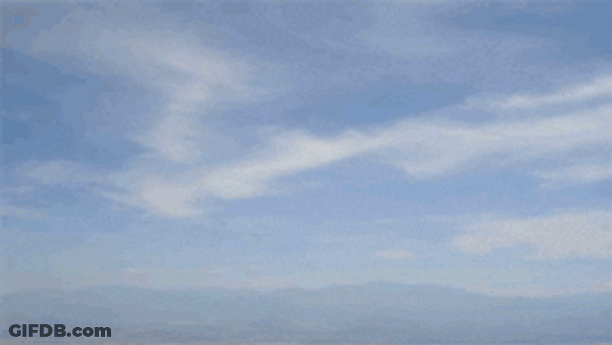 Sky Bird Short Film GIF