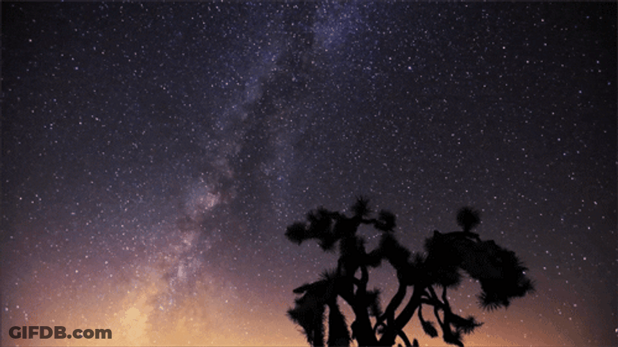 Sky Galaxy Joshua Tree National Park GIF