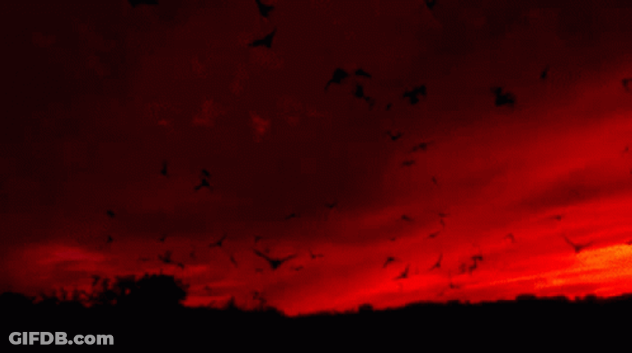 Sky Red Aesthetic GIF