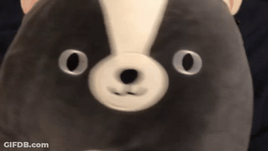 Skyler Skunk Squishmallow Playful GIF