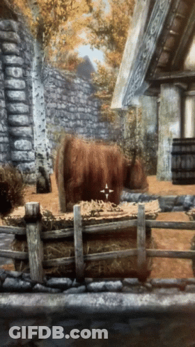 Skyrim Vibrate GIF