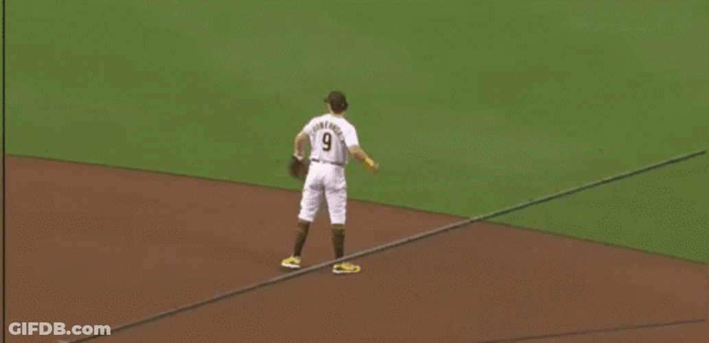 Slam Diego Padres Incredible Catch GIF