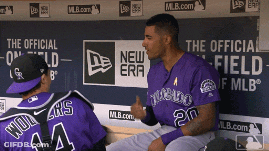 Slap Fight Colorado Rockies MLB GIF