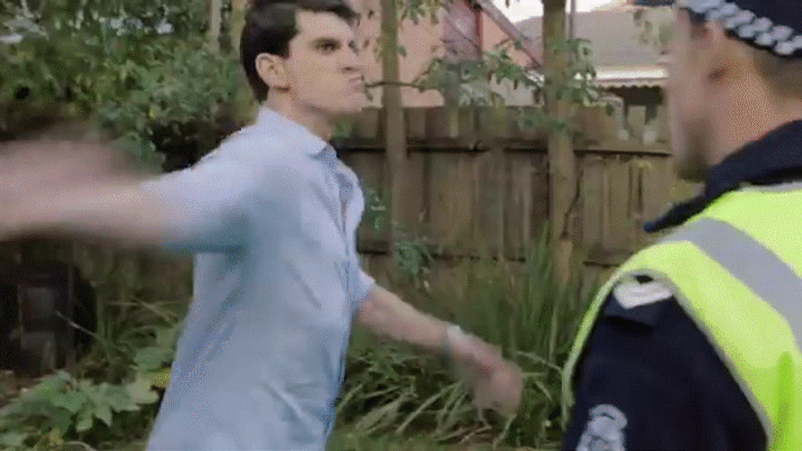 Slapping Cops The Slap 2 GIF