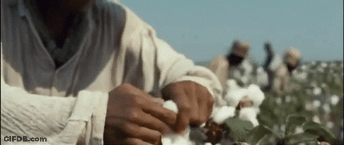 Slave Actor Chiwetel Ejiofor Harvesting Cotton GIF
