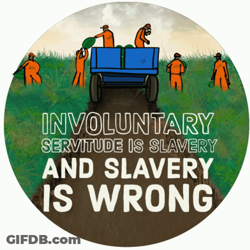 Slavery Involuntary Servitude GIF