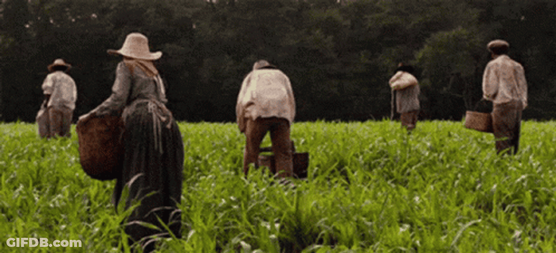 Slavery Traditional Farmers GIF