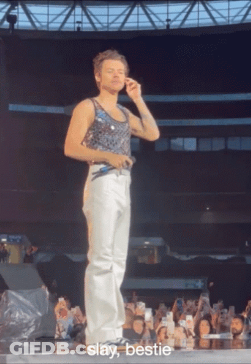Slay Harry Styles Concert GIF