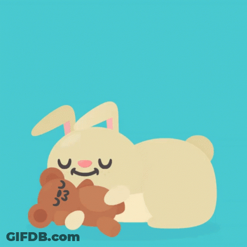 Sleep Cute Brown Bunny With Bear Toy GIF