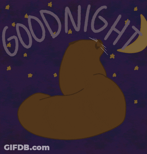 Sleep Cute Goodnight Brown Seal GIF