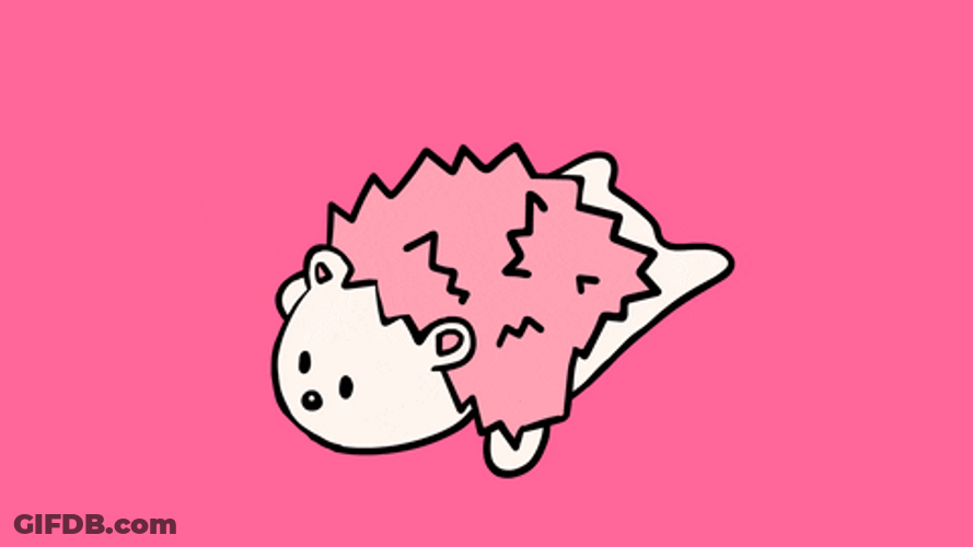 Sleep Cute Pink Hedgehog GIF