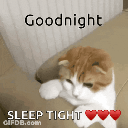 Sleep Good Night GIF