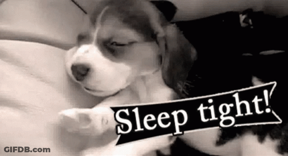 Sleep Tight Cute Puppy Dog Yawning GIF