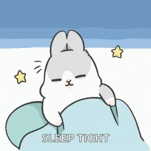 Sleep Tight Good Night Bunny Animated GIF