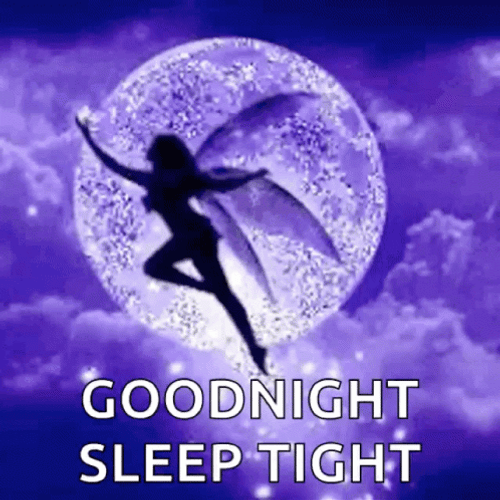 Sleep Tight Good Night Fairy Moon Sparkle GIF