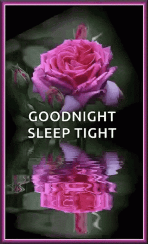 Sleep Tight Good Night Pink Roses GIF