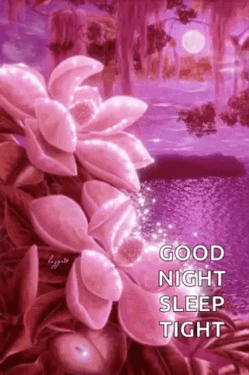 Sleep Tight Good Night Sparkle Pink Flowers GIF