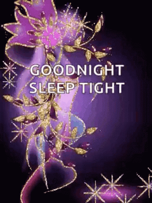 Sleep Tight Good Night Sticker GIF