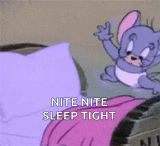 Sleep Tight Nibbles Mouse Tom And Jerry GIF