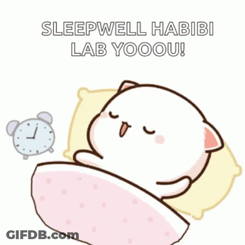 Sleep Well Habibi I Love You GIF
