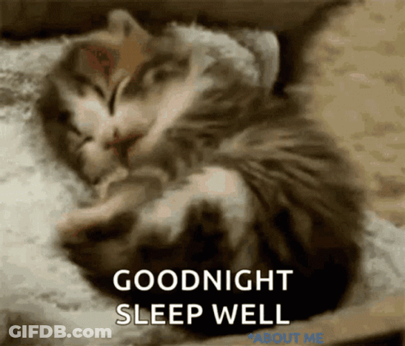 Sleep Well Kitten GIF