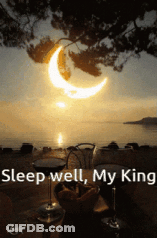 Sleep Well My King GIF