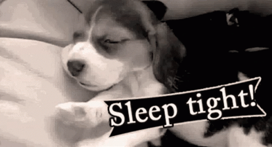 Sleep Well Yawning Dog GIF
