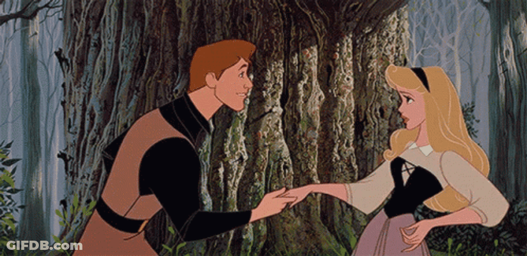 Sleeping Beauty Holding Prince GIF
