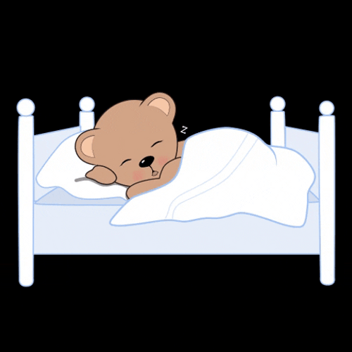 Sleeping Cartoon Bear Night Night GIF