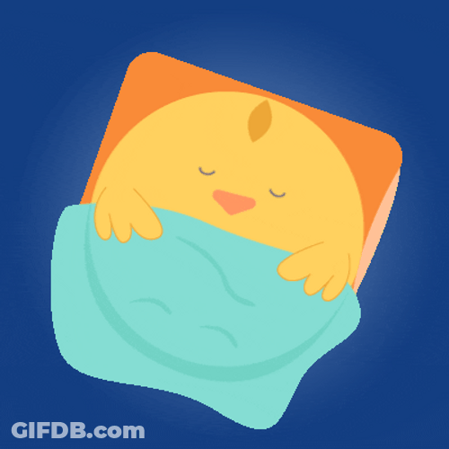 Sleeping Cartoon Chick Night Night GIF