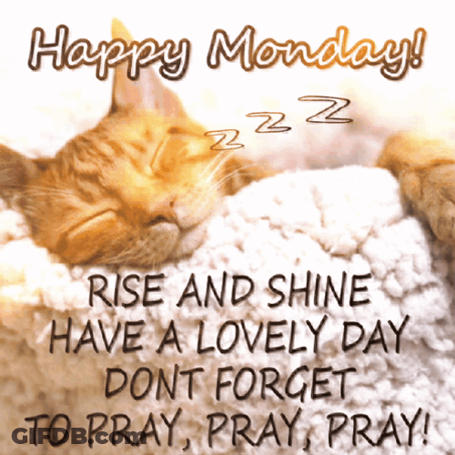 Sleeping Cat Happy Monday Meme GIF