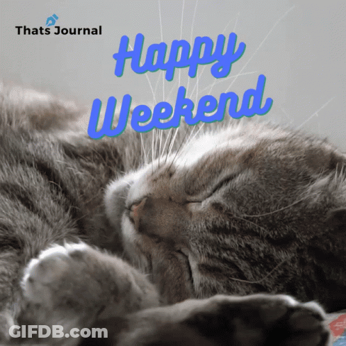 Sleeping Cat Happy Weekend GIF