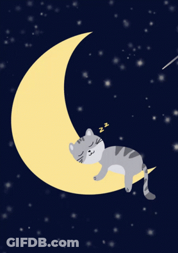 Sleeping Cat On Crescent Moon GIF