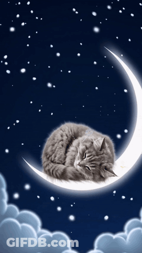Sleeping Cat On Crescent Moon GIF