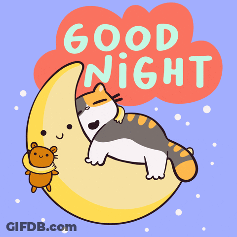 Sleeping Cat On Crescent Moon With Teddy Bear GIF