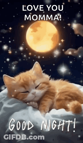 Sleeping Cat Under Full Moon GIF