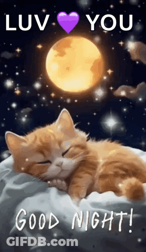 Sleeping Cat Under Full Moon And Purple Heart GIF