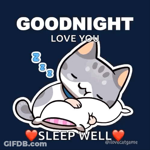 Sleeping Cat With Goodnight Love You GIF
