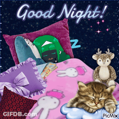 Sleeping Cat With Stuffed Animals And Good Night GIF