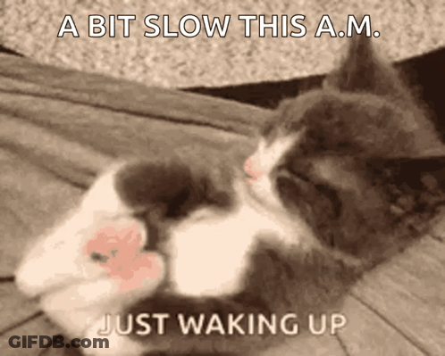 Sleeping Cat With Waking Up Text GIF