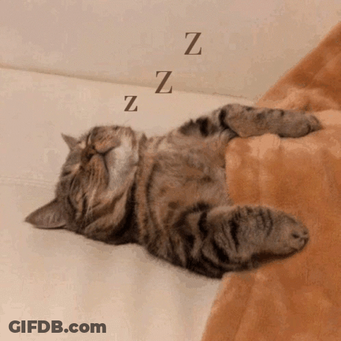 Sleeping Cat With ZZ GIF