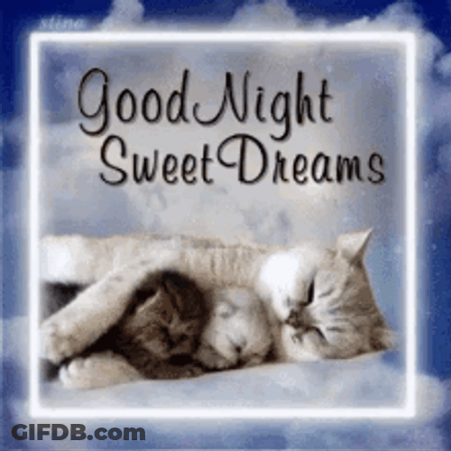 Sleeping Cats Sweet Dreams GIF