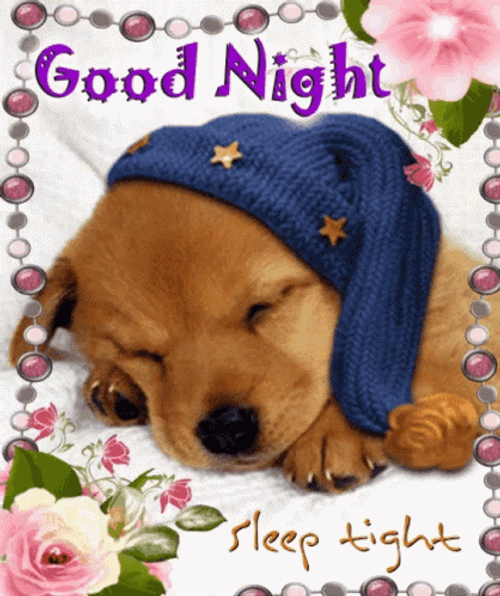 Sleeping Dog Good Night Greeting GIF