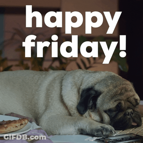 Sleeping Dog Happy Friday Morning GIF