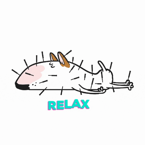 Sleeping Dog Relax Jimmy The Bull GIF