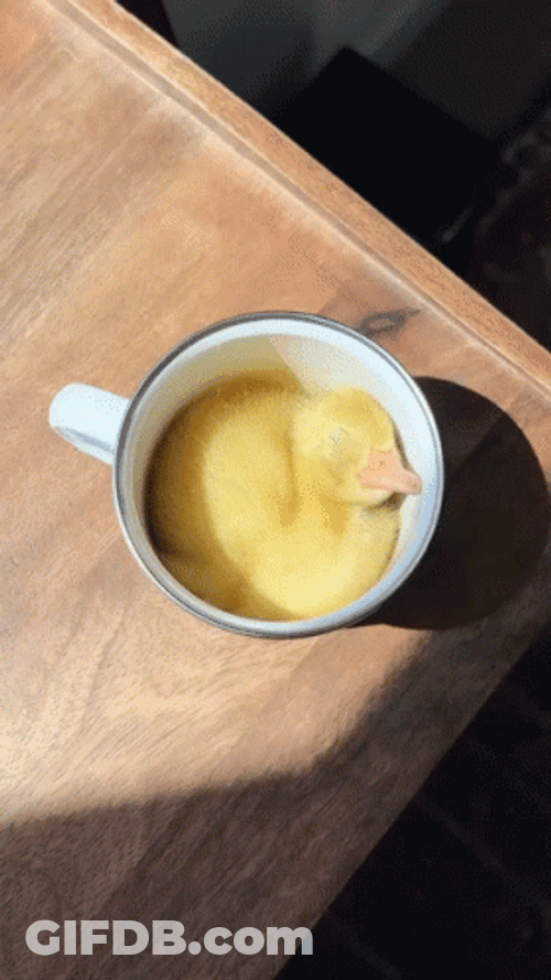 Sleeping Ducky Coffee Mug GIF