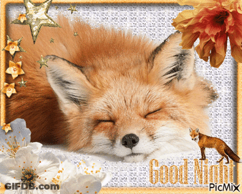 Sleeping Fox Good Night GIF