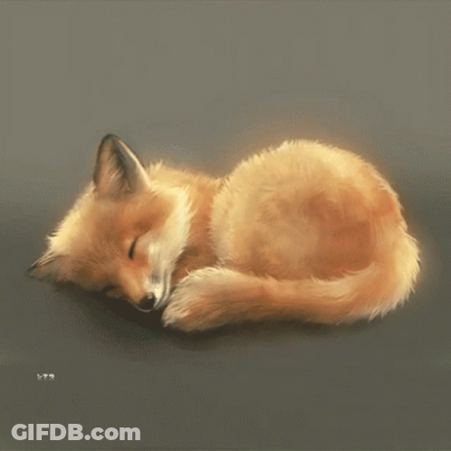 Sleeping Fox Painting With Letters LT9 GIF