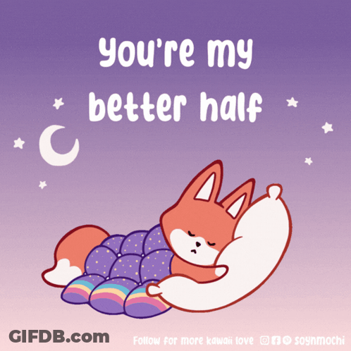 Sleeping Fox You're My Better Half GIF