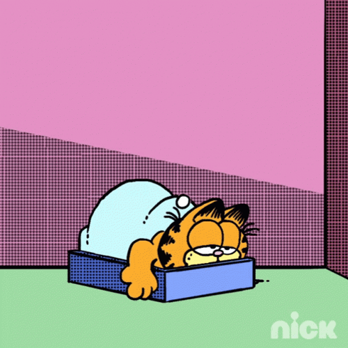 Sleeping Garfield It's Monday GIF